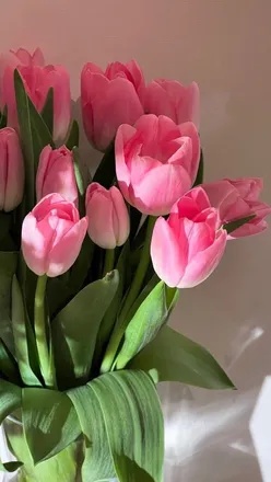 OnlyFans cuenta love_queen2 header 2