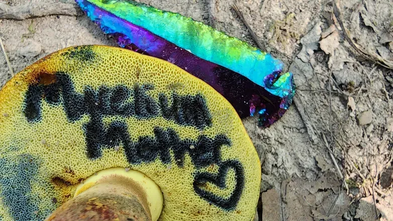 OnlyFans cuenta mycelium_mother header 2