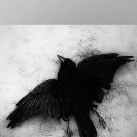 OnlyFans cuenta yournyxviolet header 2