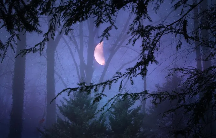 OnlyFans cuenta moonlit_sky header 2