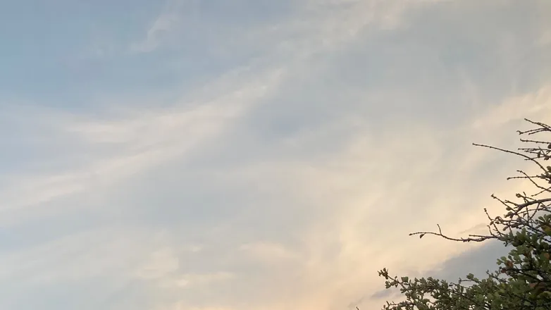 OnlyFans cuenta tamayolked header 2