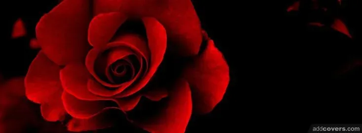 OnlyFans cuenta julie-rose header 2