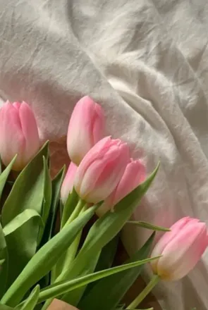 OnlyFans cuenta blondehanna header 2
