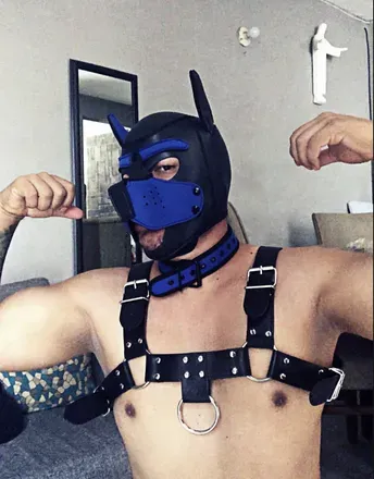 OnlyFans cuenta rsdog18 avatar 1