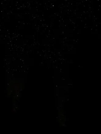 OnlyFans cuenta u44789690 header 2