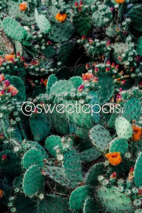 OnlyFans cuenta sweetiepais header 2
