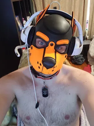 OnlyFans cuenta pup-patches avatar 1