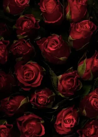 OnlyFans cuenta curlyheadke header 2
