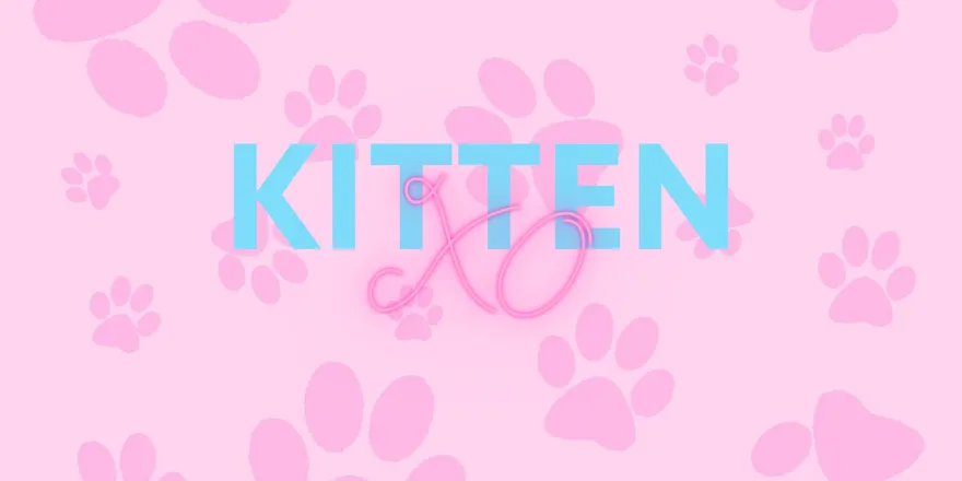 OnlyFans cuenta kittens13408 header 2