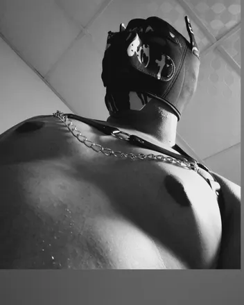 OnlyFans cuenta xthetopdogx header 2