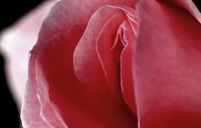 OnlyFans cuenta sensualmistress header 2