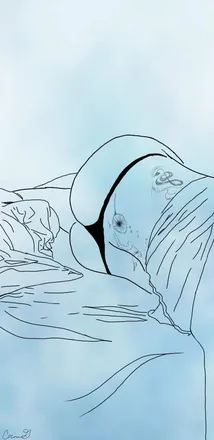 OnlyFans cuenta lolahleigh header 2