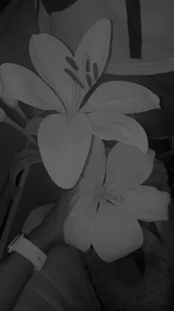 OnlyFans cuenta demoncouple04 header 2