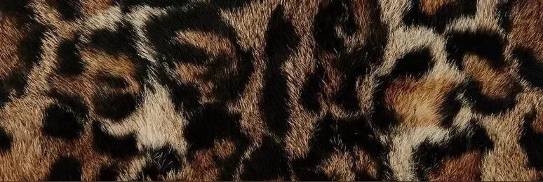 OnlyFans cuenta thiccibabii header 2