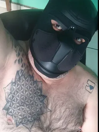 OnlyFans cuenta arokbigpup avatar 1