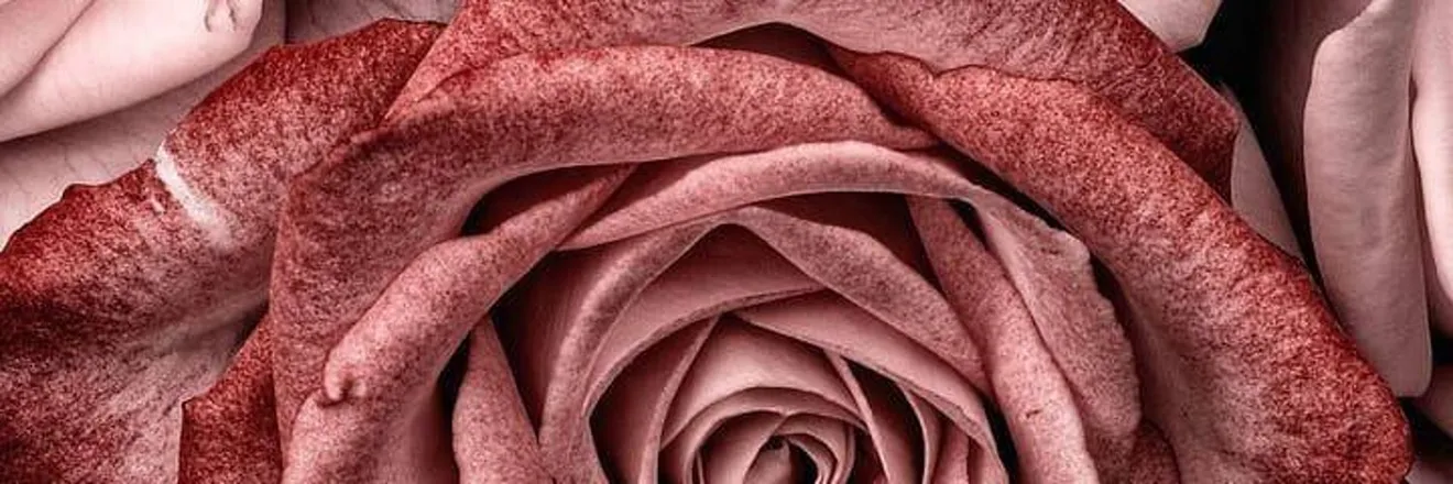 OnlyFans cuenta chairesangell header 2