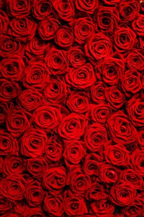 OnlyFans cuenta cinnamon_dulce header 2