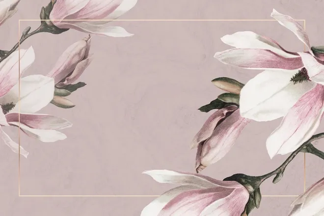 OnlyFans cuenta pinkpoisonlily header 2