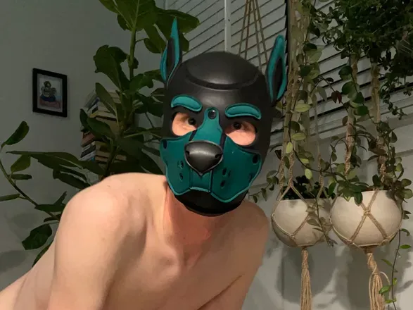 OnlyFans cuenta puplocust avatar 1