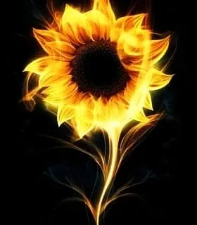 OnlyFans account  sunflower099 header 2