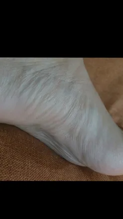 OnlyFans cuenta morbo.pies.feet header 2