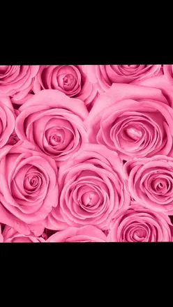OnlyFans cuenta mspynkmajesty header 2