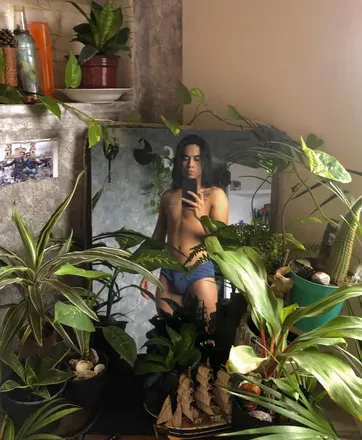 OnlyFans cuenta wildplantxxx avatar 1