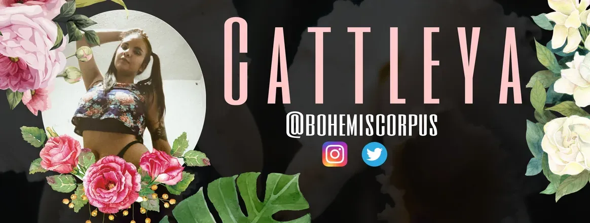 OnlyFans account  catleyared header 2