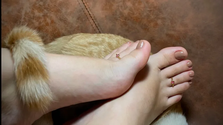 OnlyFans account  belord header 2