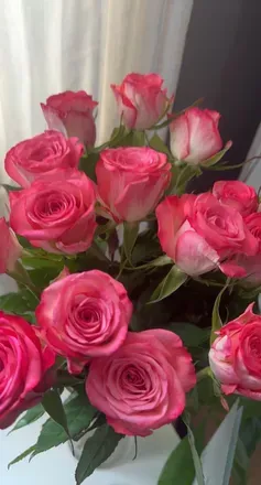 OnlyFans cuenta meganmaine header 2