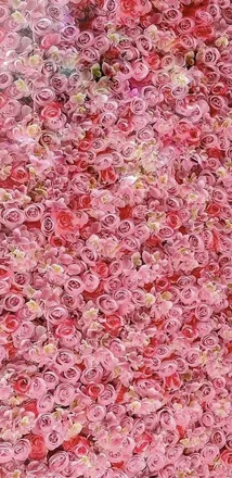 OnlyFans cuenta siyurifineass header 2