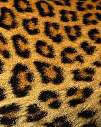 OnlyFans cuenta jaylahmfk header 2