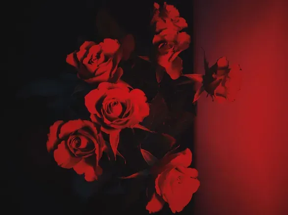 OnlyFans cuenta harperwhite header 2