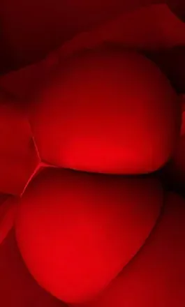 OnlyFans cuenta lauriepring avatar 1