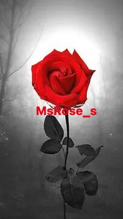 OnlyFans cuenta msrose_s avatar 1