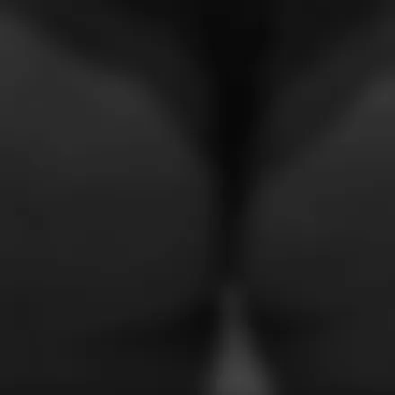 OnlyFans cuenta u154156409 header 2