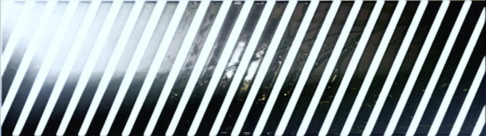 OnlyFans cuenta zoohio header 2