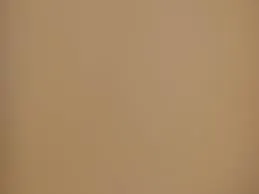 OnlyFans cuenta brownskinbrooke header 2