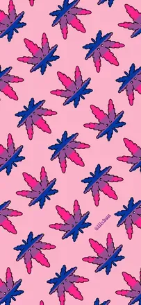 OnlyFans cuenta aciddiosa header 2