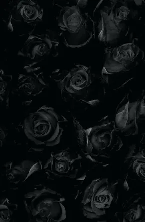OnlyFans cuenta rsauncut header 2