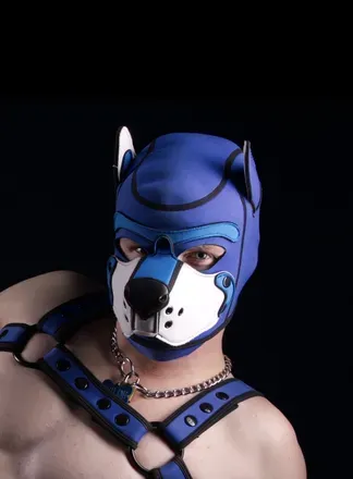 OnlyFans cuenta pupwilde avatar 1
