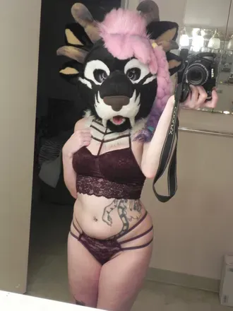 OnlyFans cuenta ladynovakaine avatar 1