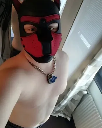 OnlyFans cuenta pupfluffyprivate avatar 1