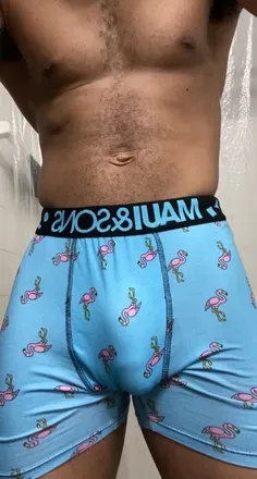 OnlyFans cuenta letshawnsee avatar 1