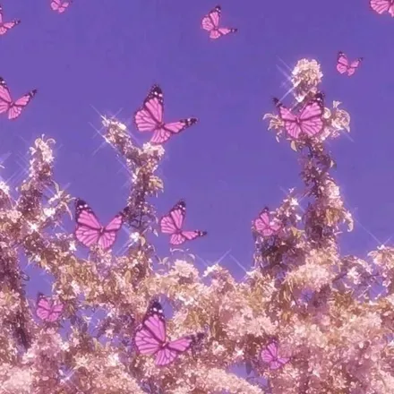 OnlyFans cuenta violet-roses header 2