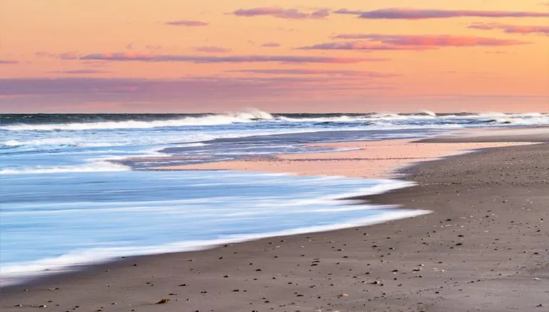 OnlyFans cuenta beachfunusa header 2