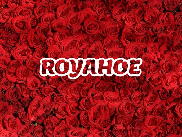 OnlyFans cuenta royahoe header 2