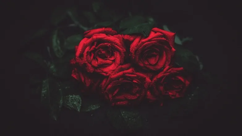OnlyFans cuenta ladyliza29 header 2