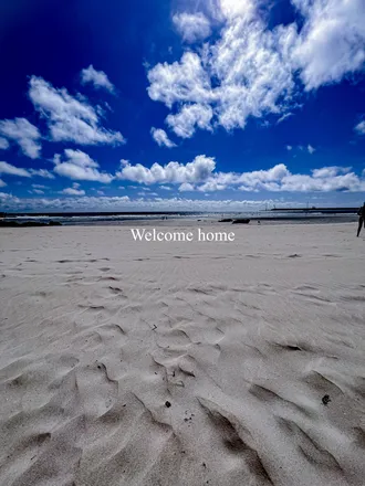 OnlyFans cuenta anybooty header 2