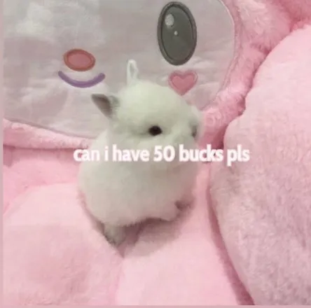 OnlyFans cuenta phoebunny420 header 2